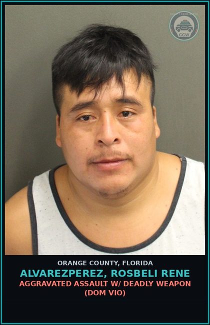 CCW arrest card for ALVAREZPEREZ, ROSBELI RENE in Orange County: VIOLATION OF PROBATION