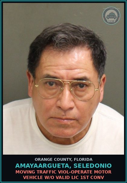 CCW arrest card for AMAYAARGUETA, SELEDONIO in Orange County: MOVING TRAFFIC VIOL-OPERATE MOTOR VEHICLE W/O VALID LIC 1ST CONV