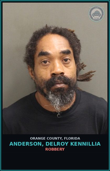 CCW arrest card for ANDERSON, DELROY KENNILLIA in Orange County: PETIT THEFT