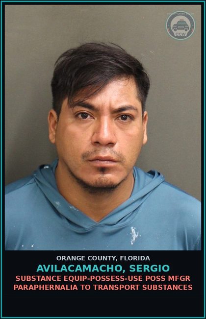 CCW arrest card for AVILACAMACHO, SERGIO in Orange County: POSS. 3,4-METHYLENEDIOXY AMPHETAMINE (MDA)