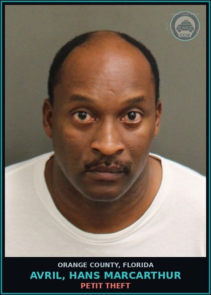 CCW arrest card for AVRIL, HANS MARCARTHUR in Orange County: PETIT THEFT
