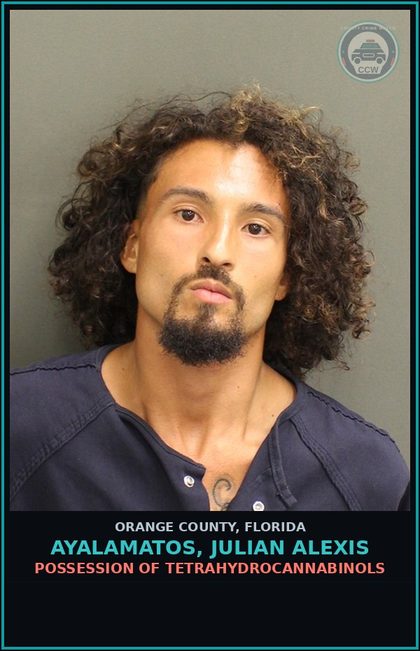 CCW arrest card for AYALAMATOS, JULIAN ALEXIS in Orange County: POSSESSION OF TETRAHYDROCANNABINOLS