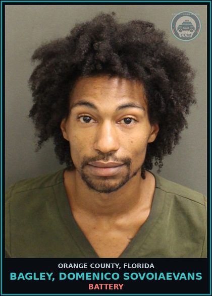 CCW arrest card for BAGLEY, DOMENICO SOVOIAEVANS in Orange County: BATTERY