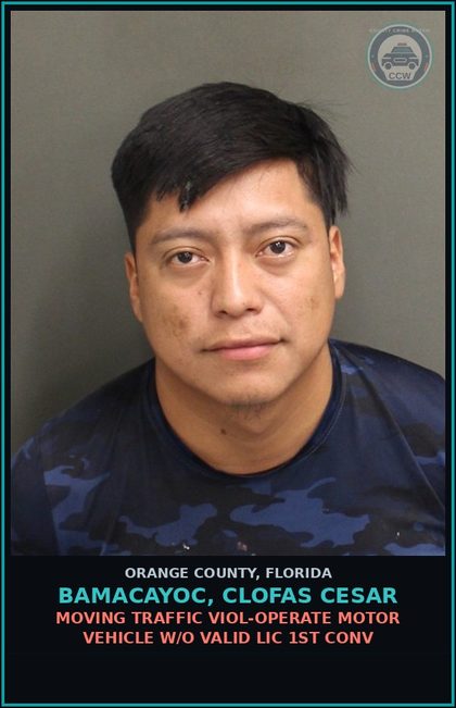 CCW arrest card for BAMACAYOC, CLOFAS CESAR in Orange County: MOVING TRAFFIC VIOL-OPERATE MOTOR VEHICLE W/O VALID LIC 1ST CONV