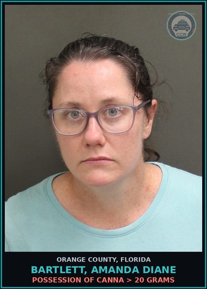 CCW arrest card for BARTLETT, AMANDA DIANE in Orange County: NEGLECT OF A chld