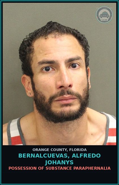 CCW arrest card for BERNALCUEVAS, ALFREDO JOHANYS in Orange County: ATTEMPTED TAMPERING WITH PHYSICAL EVIDENCE
