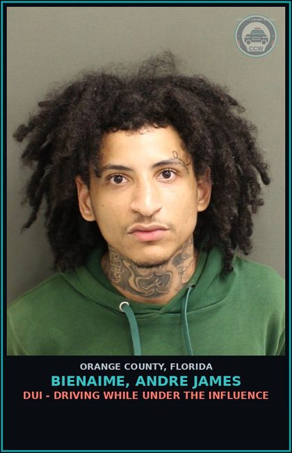 CCW arrest card for BIENAIME, ANDRE JAMES in Orange County: DUI - DRIVING WHILE UNDER THE INFLUENCE