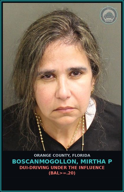 CCW arrest card for BOSCANMOGOLLON, MIRTHA P in Orange County: PETIT THEFT OF $100 OR MORE