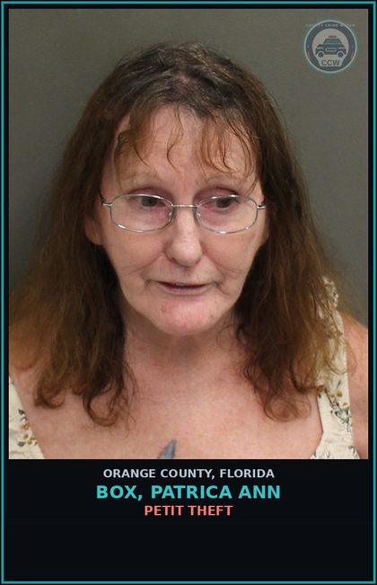 CCW arrest card for BOX, PATRICA ANN in Orange County: PETIT THEFT