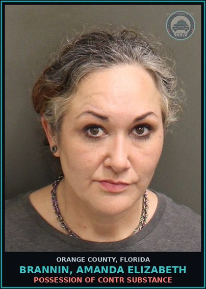 CCW arrest card for BRANNIN, AMANDA ELIZABETH in Orange County: STATE MISDEMEANORS