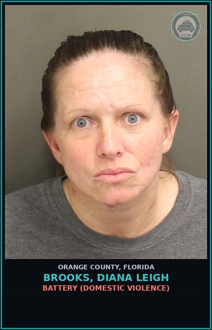 CCW arrest card for BROOKS, DIANA LEIGH in Orange County: BATTERY (DOMESTIC VIOLENCE)