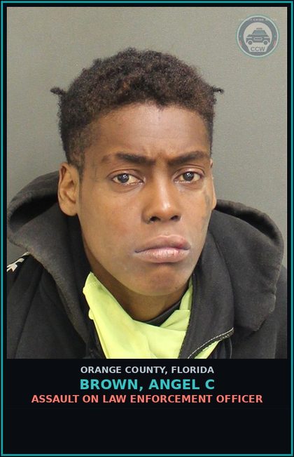 CCW arrest card for BROWN, ANGEL C in Orange County: ASSAULT ON LAW ENFORCEMENT OFFICER