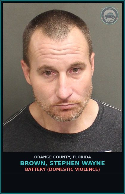 CCW arrest card for BROWN, STEPHEN WAYNE in Orange County: PETIT THEFT ONE PRIOR CONVICTION