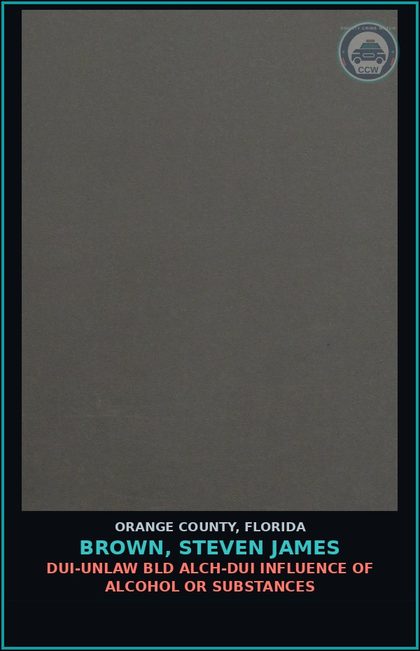 CCW arrest card for BROWN, STEVEN JAMES in Orange County: VIOLATION OF COMMUNITY CONTROL
