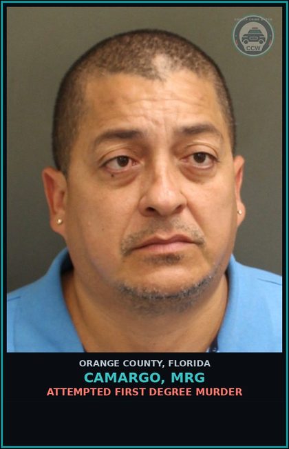 CCW arrest card for CAMARGO, MRG in Orange County: BATTERY (DOMESTIC VIOLENCE)