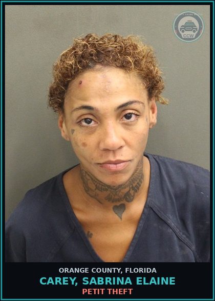 CCW arrest card for CAREY, SABRINA ELAINE in Orange County: PETIT THEFT