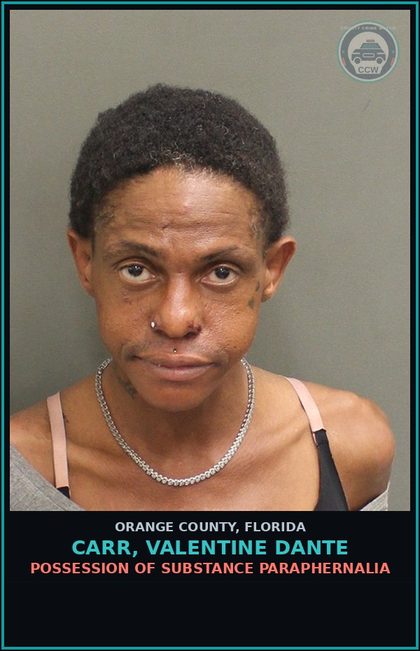 CCW arrest card for CARR, VALENTINE DANTE in Orange County: POSSESSION OF DRUG PARAPHERNALIA