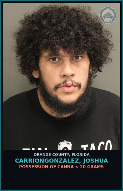 CCW arrest card for CARRIONGONZALEZ, JOSHUA in Orange County: POSSESSION OF Canna < 20 GRAMS
