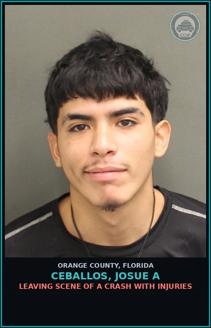 CCW arrest card for CEBALLOS, JOSUE A in Orange County: LEAVING SCENE OF A CRASH WITH INJURIES