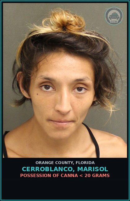 CCW arrest card for CERROBLANCO, MARISOL in Orange County: DRUGS-POSSESS-POSSESS contr substance W/O PRESCRIPTION