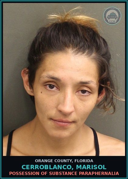 CCW arrest card for CERROBLANCO, MARISOL in Orange County: POSS. 3,4-METHYLENEDIOXY AMPHETAMINE (MDA)