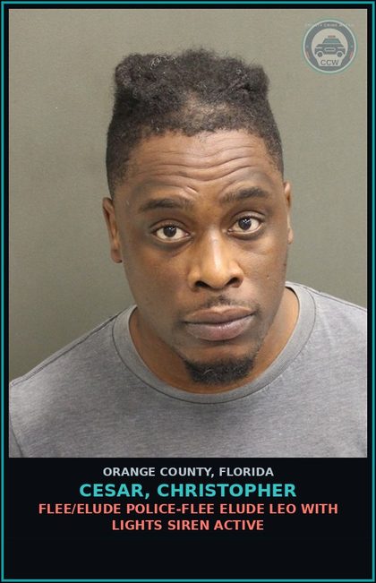CCW arrest card for CESAR, CHRISTOPHER in Orange County: FLEE/ELUDE POLICE-FLEE ELUDE LEO WITH LIGHTS SIREN ACTIVE