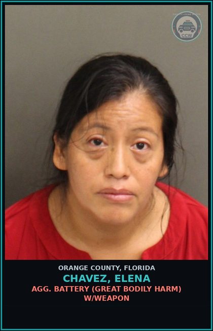 CCW arrest card for CHAVEZ, ELENA in Orange County: AGG. BATTERY (GREAT BODILY HARM) W/WEAPON