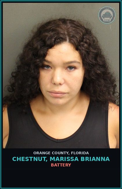 CCW arrest card for CHESTNUT, MARISSA BRIANNA in Orange County: CRIMINAL MISCHIEF (>$200, <$1000)