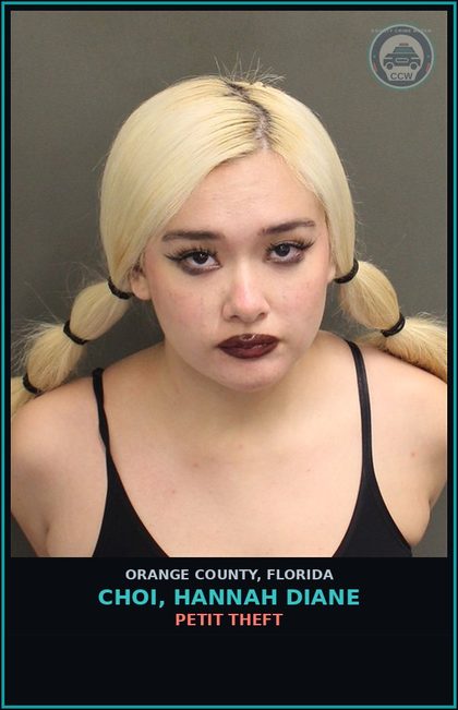 CCW arrest card for CHOI, HANNAH DIANE in Orange County: PETIT THEFT