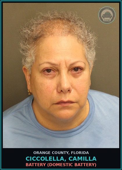 CCW arrest card for CICCOLELLA, CAMILLA in Orange County: BATTERY (DOMESTIC BATTERY)