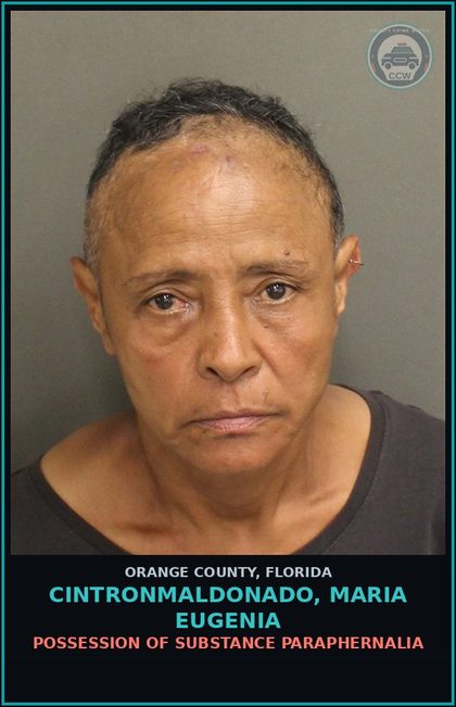 CCW arrest card for CINTRONMALDONADO, MARIA EUGENIA in Orange County: POSSESSION OF DRUG PARAPHERNALIA