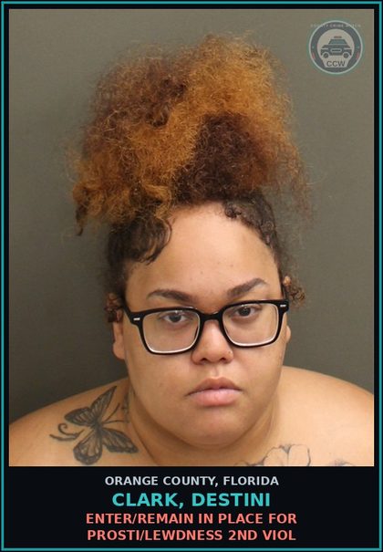 CCW arrest card for CLARK, DESTINI in Orange County: ENTER/REMAIN IN PLACE FOR Prosti/LEWDNESS 2ND VIOL