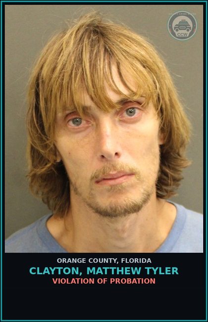 CCW arrest card for CLAYTON, MATTHEW TYLER in Orange County: VIOLATION OF PROBATION