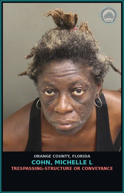 CCW arrest card for COHN, MICHELLE L in Orange County: TRESPASSING-STRUCTURE OR CONVEYANCE