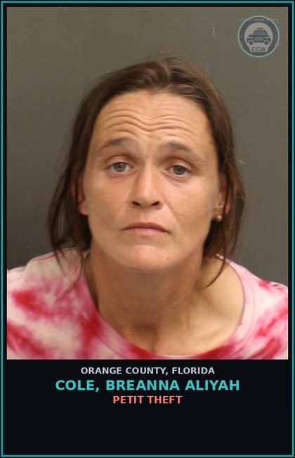 CCW arrest card for COLE, BREANNA ALIYAH in Orange County: PETIT THEFT