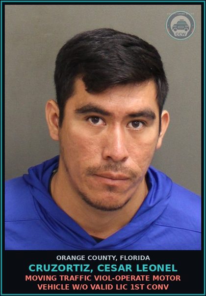 CCW arrest card for CRUZORTIZ, CESAR LEONEL in Orange County: MOVING TRAFFIC VIOL-OPERATE MOTOR VEHICLE W/O VALID LIC 1ST CONV