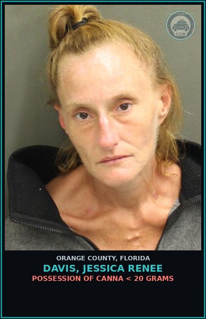 CCW arrest card for DAVIS, JESSICA RENEE in Orange County: TRESPASS/PROP. OTHER THAN STRUCT. OR CONV.