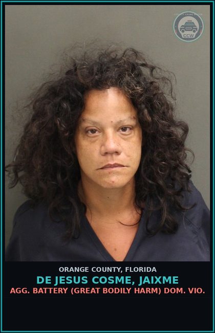 CCW arrest card for DE JESUS COSME, JAIXME in Orange County: AGG. BATTERY (GREAT BODILY HARM) DOM. VIO.