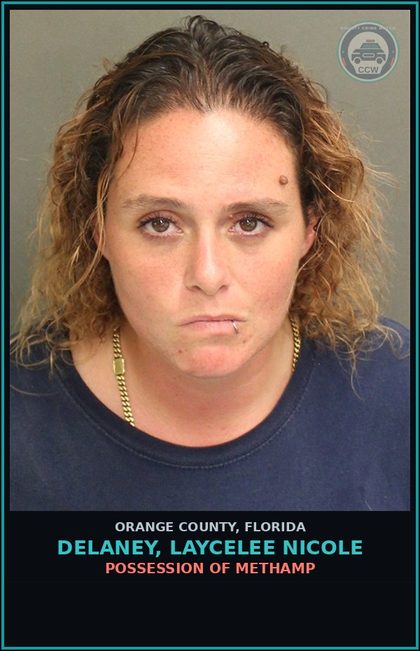 CCW arrest card for DELANEY, LAYCELEE NICOLE in Orange County: POSSESSION OF Methamp