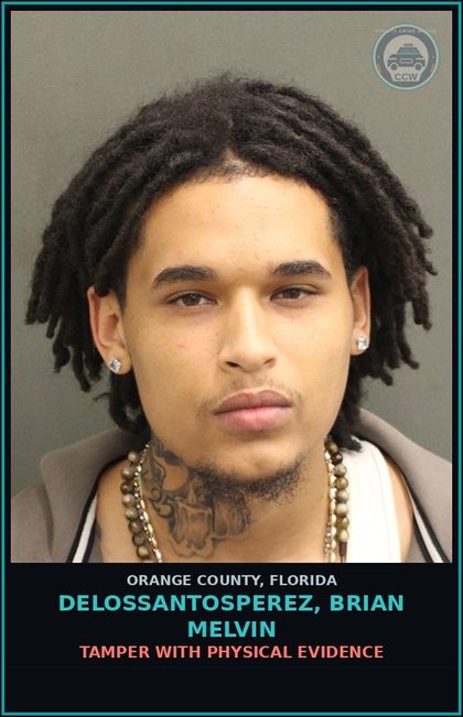 CCW arrest card for DELOSSANTOSPEREZ, BRIAN MELVIN in Orange County: TAMPER WITH PHYSICAL EVIDENCE