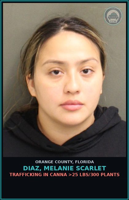 CCW arrest card for DIAZ, MELANIE SCARLET in Orange County: IMPORTATION OF Canna
