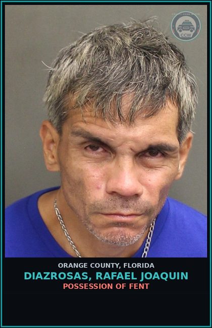 CCW arrest card for DIAZROSAS, RAFAEL JOAQUIN in Orange County: PETIT THEFT