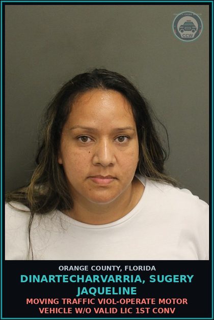 CCW arrest card for DINARTECHARVARRIA, SUGERY JAQUELINE in Orange County: MOVING TRAFFIC VIOL-OPERATE MOTOR VEHICLE W/O VALID LIC 1ST CONV
