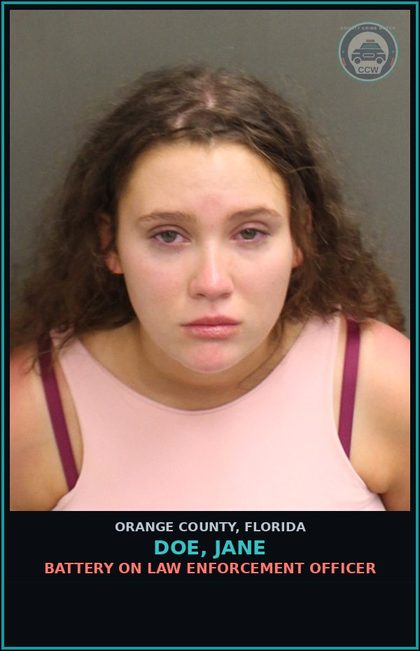 CCW arrest card for DOE, JANE in Orange County: BATTERY ON LAW ENFORCEMENT OFFICER
