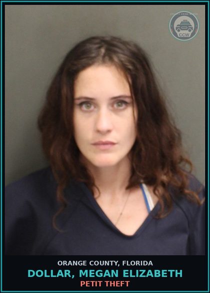CCW arrest card for DOLLAR, MEGAN ELIZABETH in Orange County: CRIMINAL MISCHIEF (>=$1000)