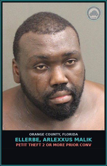 CCW arrest card for ELLERBE, ARLEXXUS MALIK in Orange County: PETIT THEFT 2 OR MORE PRIOR CONV