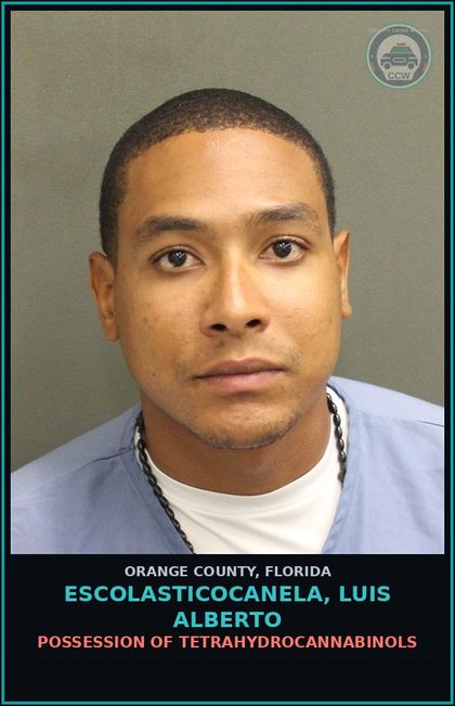 CCW arrest card for ESCOLASTICOCANELA, LUIS ALBERTO in Orange County: FAILURE OF DEFENDANT TO APPEAR