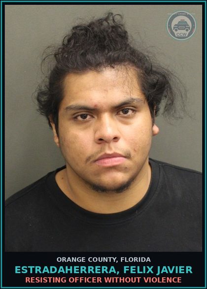 CCW arrest card for ESTRADAHERRERA, FELIX JAVIER in Orange County: RESISTING OFFICER WITHOUT VIOLENCE
