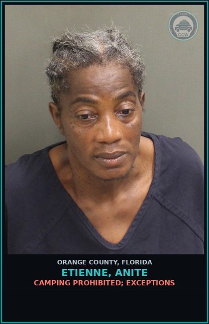 CCW arrest card for ETIENNE, ANITE in Orange County: CAMPING PROHIBITED; EXCEPTIONS