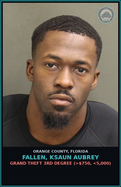 CCW arrest card for FALLEN, KSAUN AUBREY in Orange County: GRAND THEFT 3RD DEGREE (>$750, <5,000)